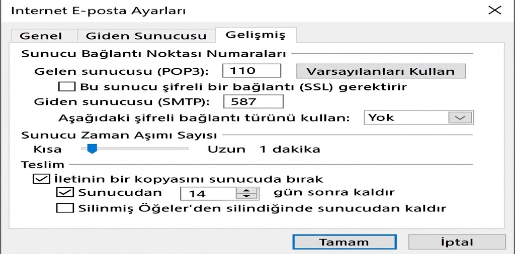 Gelişmiş Ayarlar